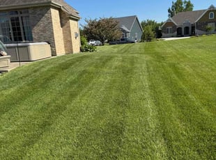 Richard D.'s turf maintenance service result