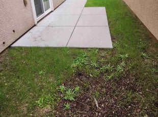 Scott B.'s lawn care service result