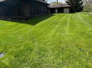 Gary A.'s yard service service result