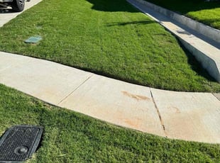 Rosann R.'s gardening service service result