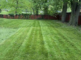 Bridget D.'s lawn service service result