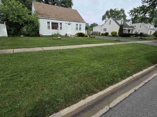 Michael L.'s lawn care service result