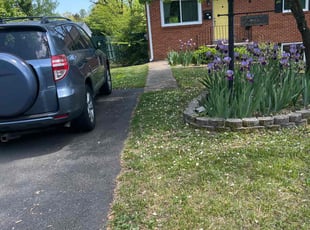 Connie F.'s turf care service result
