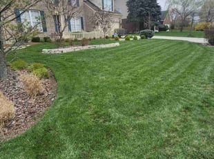 Charles K.'s turf care service result