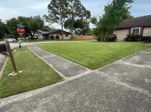 Sandi P.'s turf care service result