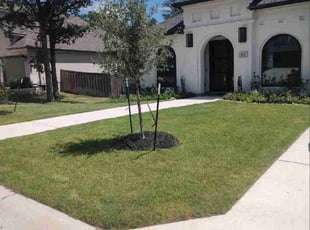 Glenda R.'s lawn service service result