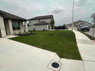 Lashonda P.'s grass maintenance service result