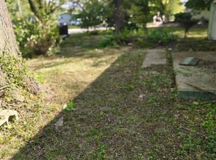 Michele C.'s Bush Trimming service result