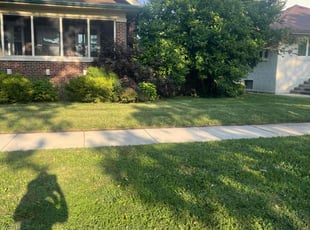 Wanda N.'s lawn care service result