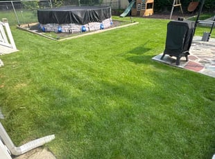 Damon D.'s grass maintenance service result