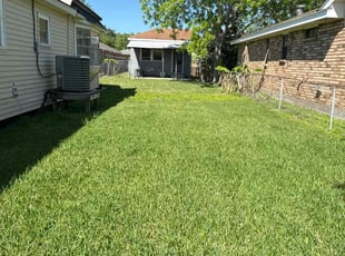 Andre D.'s turf care service result