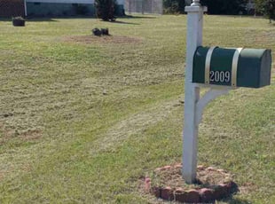 Stewart J.'s lawn service service result