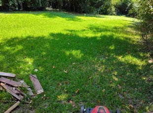 Mike R.'s turf care service result