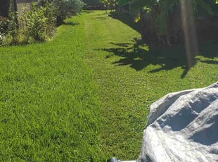 Monica H.'s lawn maintenance service result