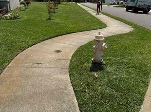 Zanab I.'s lawn service service result