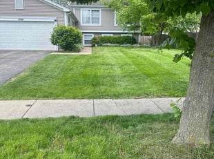 Wilma L.'s lawn service service result