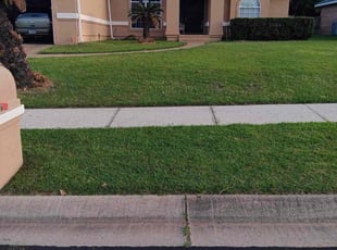 Gary H.'s grass maintenance service result