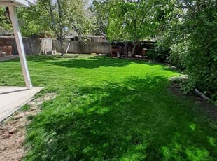 Kristine B.'s grass cutting service result