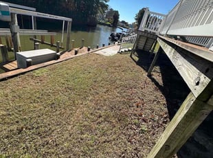 Molly P.'s lawn care services service result