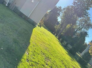 Achelle J.'s lawn care service result