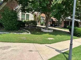 Sequilla R.'s lawn care service result