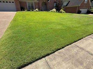 Abby L.'s turf maintenance service result