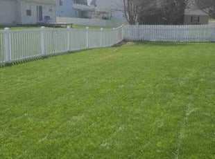 Jill B.'s grass cutting service result