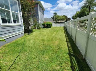 Thomas C.'s lawn maintenance service result