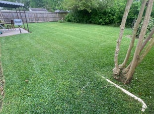 Paula C.'s lawn service service result