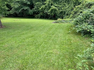 James G.'s lawn service service result