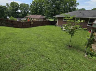 William N.'s lawn maintenance service result