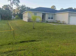 Jeff S.'s grass maintenance service result