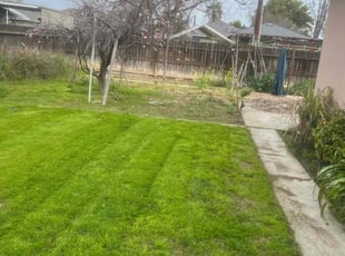 Nicole G.'s lawn care services service result