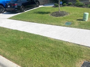 Kaylee I.'s lawn care services service result