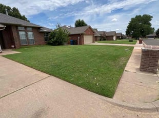 Edie S.'s turf maintenance service result