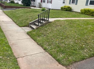 Mary H.'s lawn service service result