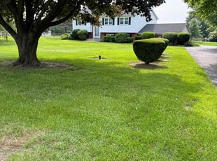 Rick W.'s landscape maintenance service result