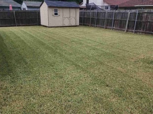 Thomas B.'s turf maintenance service result