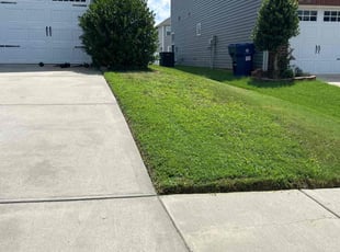 Ashley W.'s turf care service result