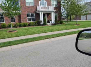 Patrick R.'s lawn service service result