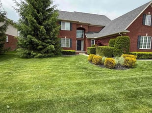 Patricia S.'s turf care service result