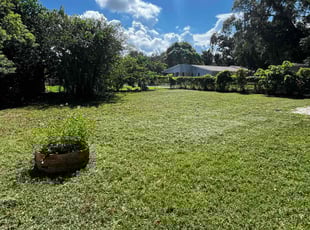 Arnaldo P.'s gardening service service result