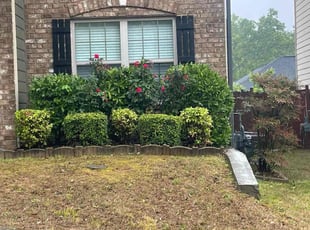 Eric C.'s Bush Trimming service result