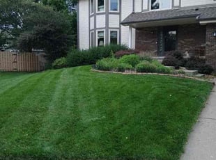 Rheana C.'s turf maintenance service result