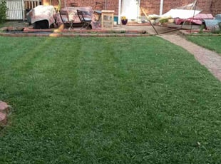 Tammy T.'s turf maintenance service result