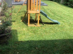 James M.'s turf care service result
