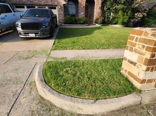 Corey R.'s turf maintenance service result