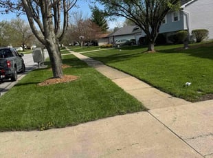 John S.'s turf care service result