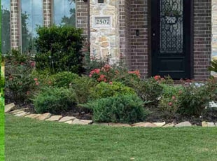 Patrick S.'s turf care service result