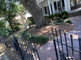 Donald K.'s turf care service result